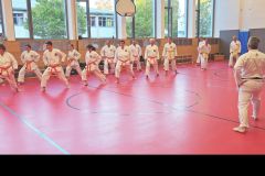 U12