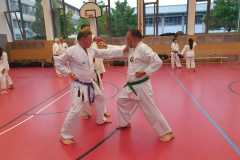 WhatsApp-Bild-2025-06-28-um-11.23.05_a367a735